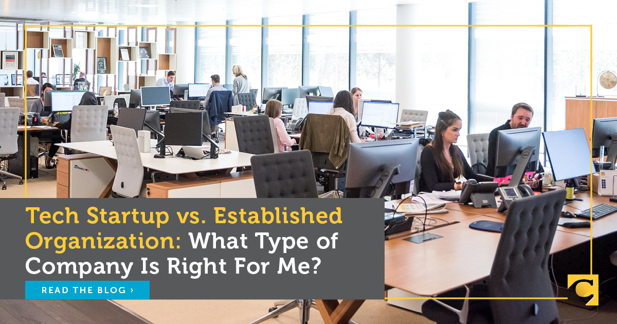 Tech Startup vs. Established Organization: Which Is For Me?